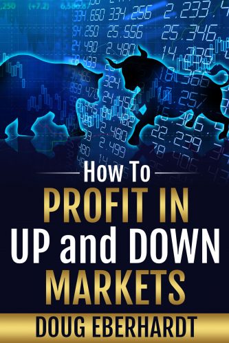Profit in Up And Down Markets Book cover